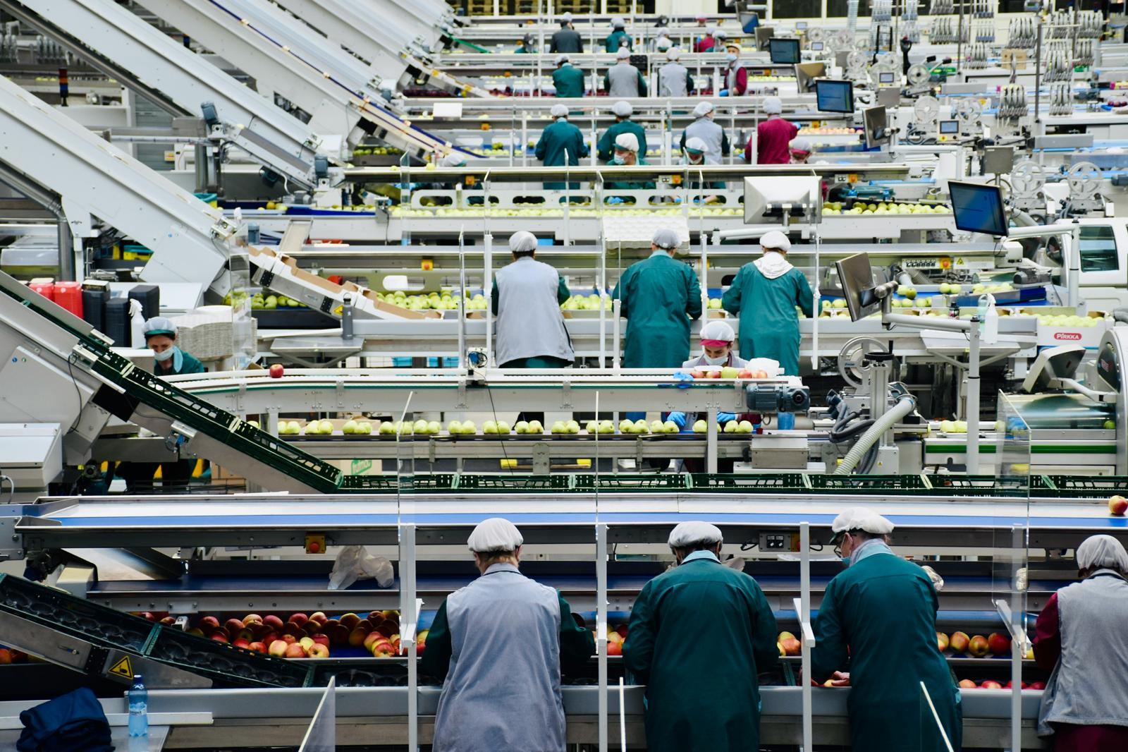 Cierre-de-empresas-Massachusetts-trabajadores-despedidos-crisis-laboral