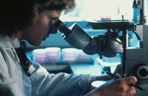OMS: El cáncer afectaría al 90% de la población mundial