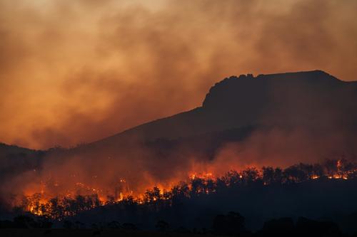 Se activa emergencia por devastadores incendios forestales