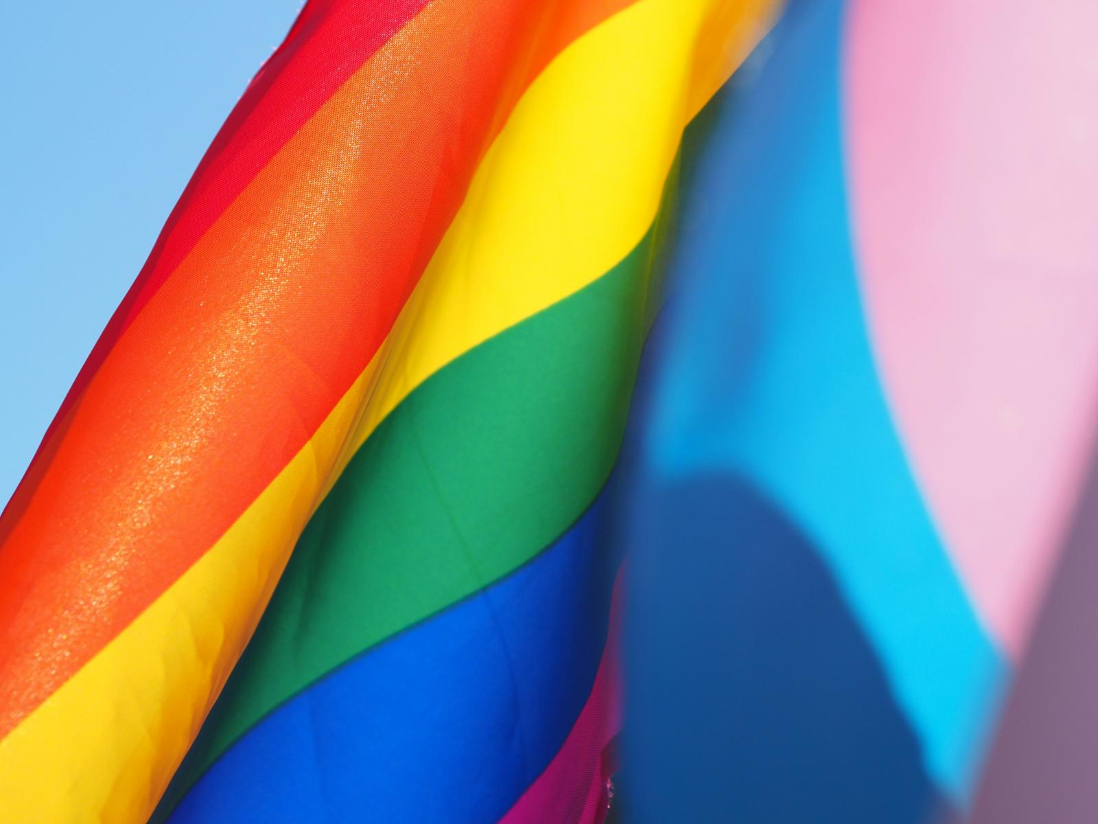 Persisten las discusiones sobre separar "LGB" y "TQ+"