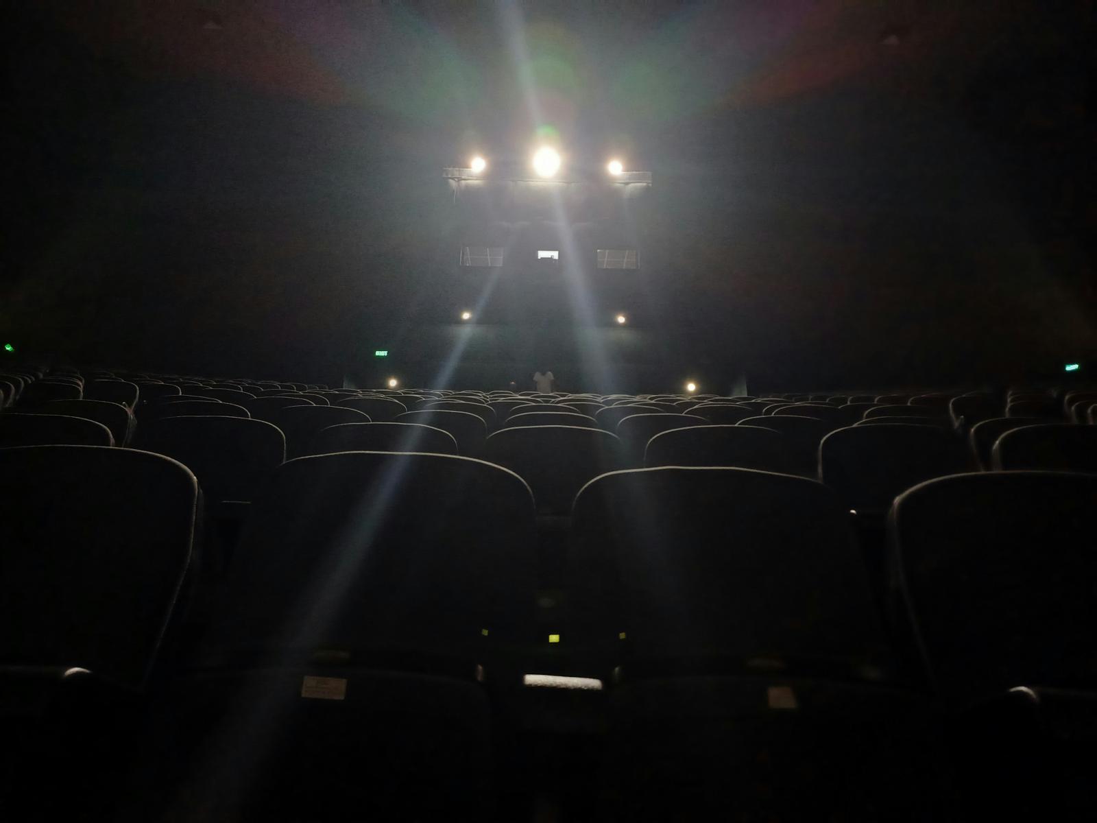 Good Boy: terror desde la mirada de un perro llega a los cines