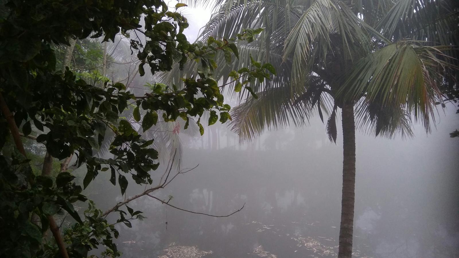 Tormenta Tropical Mario amenaza costas de México