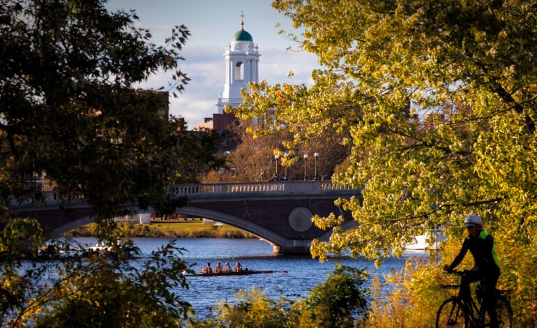 Harvard University Demanda los Fondos que les Quitó Trump