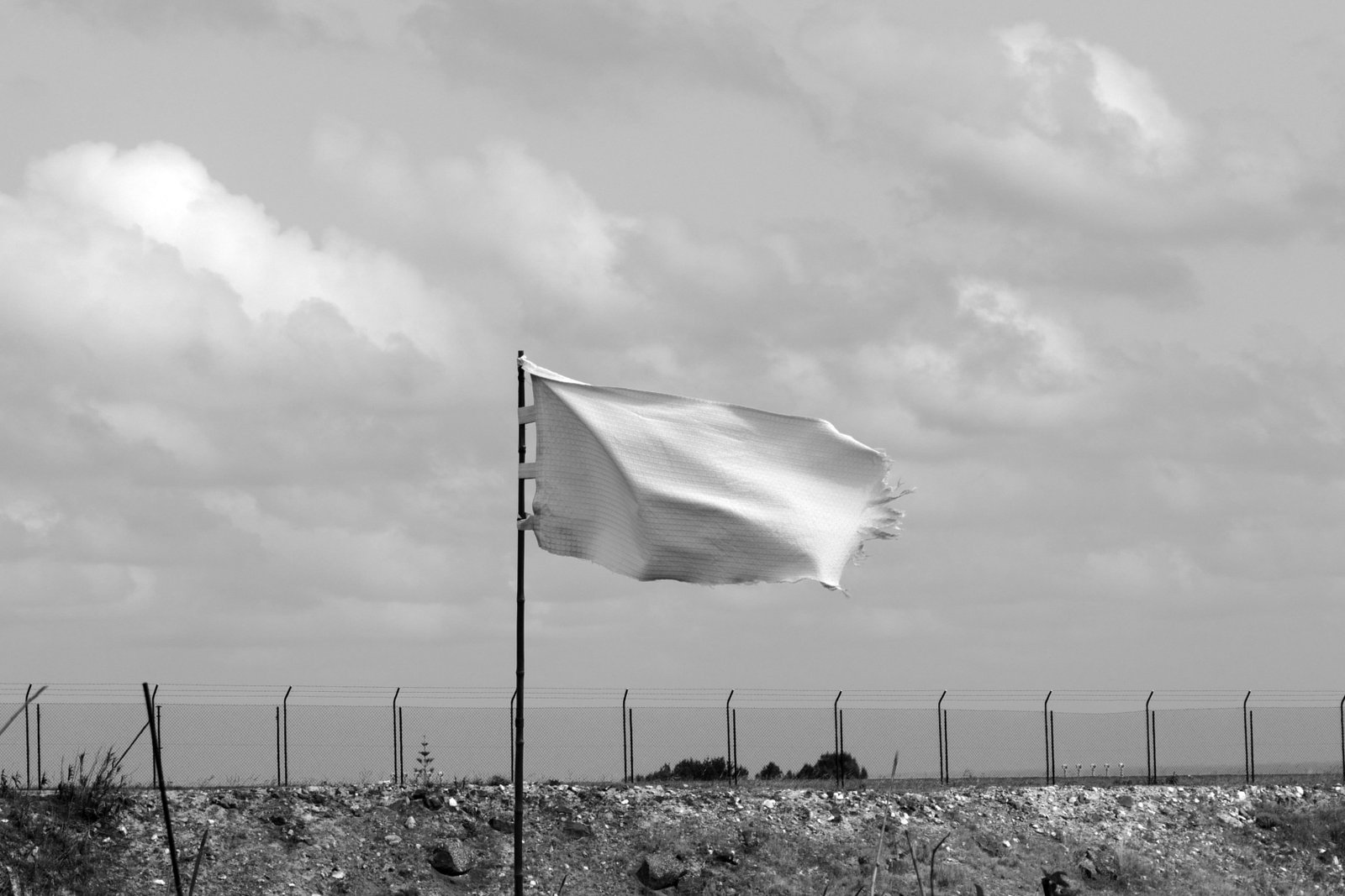 Israel—Irán—EE.UU: Trump Reafirma Tregua en el Medio Oriente
