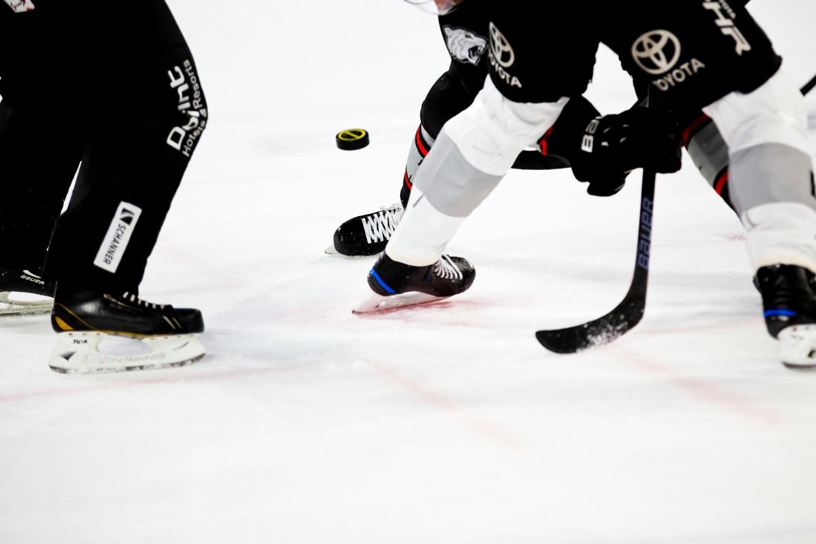 James Hagens y seis nuevas promesas se unen a los Bruins