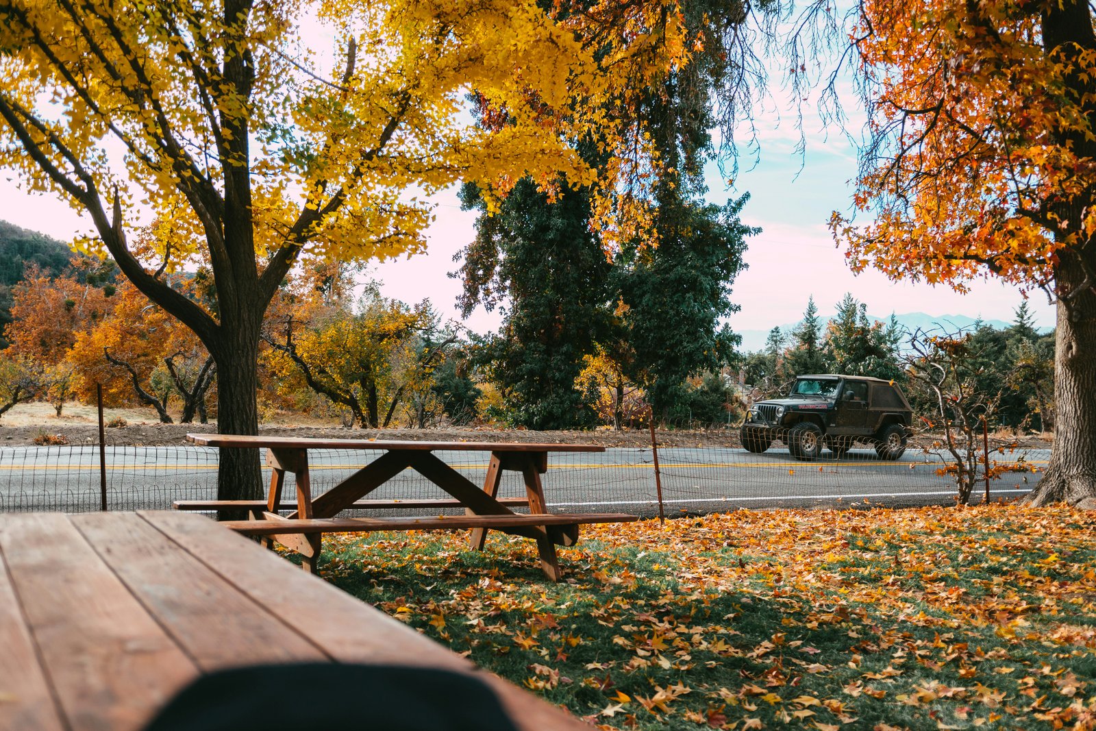 Otoño comienza en septiembre con cambios de clima