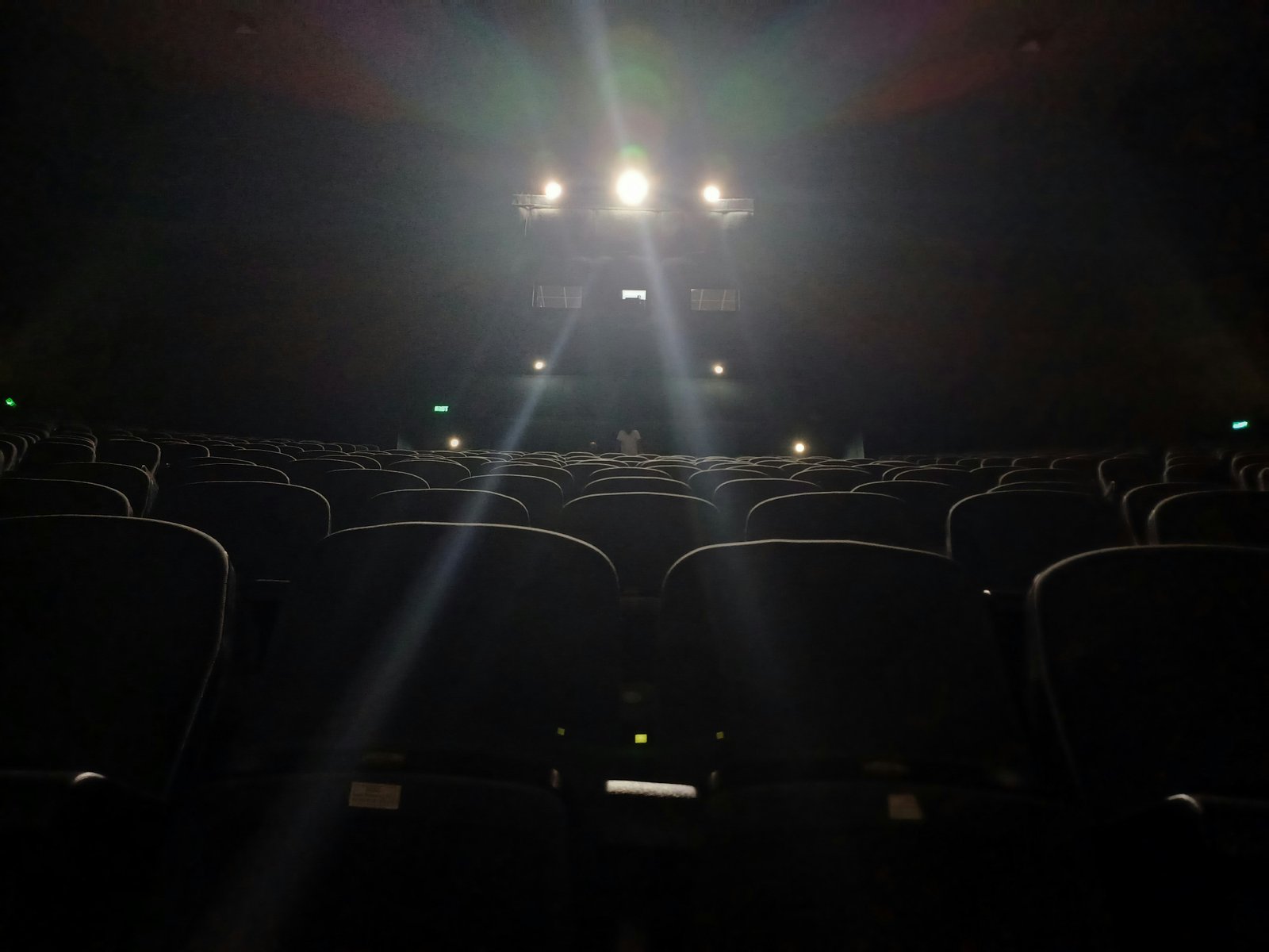 Good Boy: terror desde la mirada de un perro llega a los cines