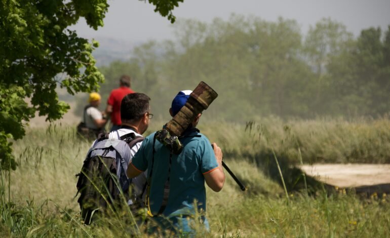 Migrantes retornan a sus países de origen