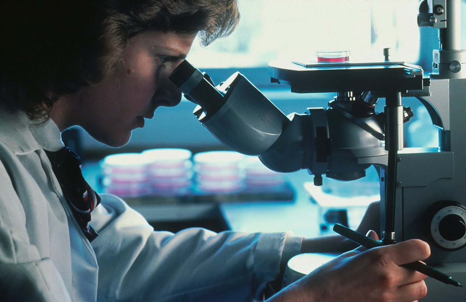 Un hallazgo histórico permite predecir la evolución del cáncer