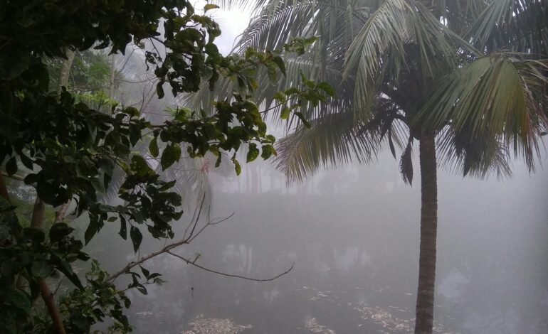 Tormenta Tropical Mario amenaza costas de México