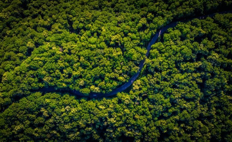 Colombia y Perú en tensión por soberanía de isla amazónica