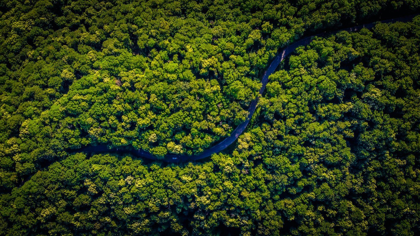 Colombia y Perú en tensión por soberanía de isla amazónica